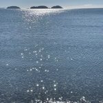 Sparkling Sargeant Bay