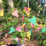 Messages for Nature from Wild Church