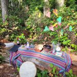 Bench with the items and offerings used for Wild Church
