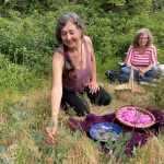 Sheila teaching us about other medicinal plants