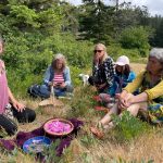 Learning about wild rose medicine