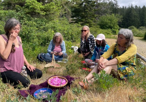 Learning about wild rose medicine